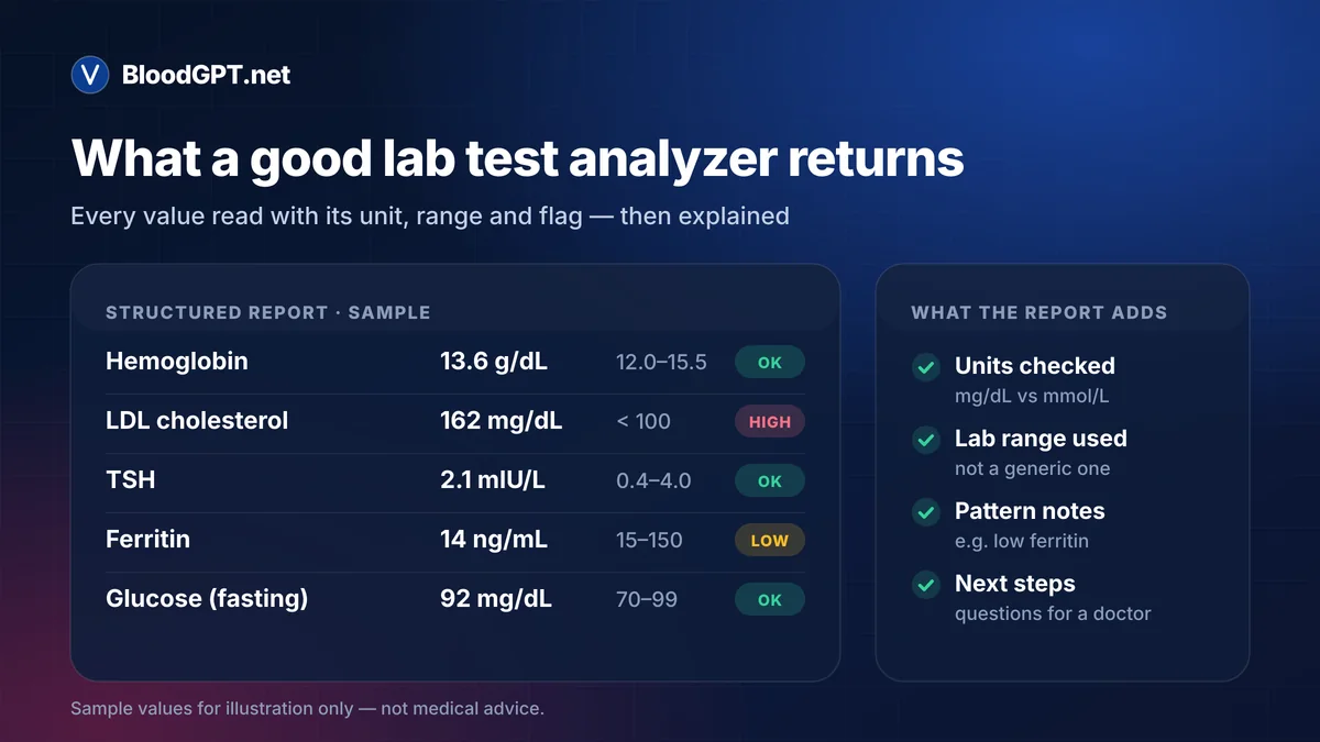 Lab test analyzer output: structured per-biomarker report with reference ranges and flags